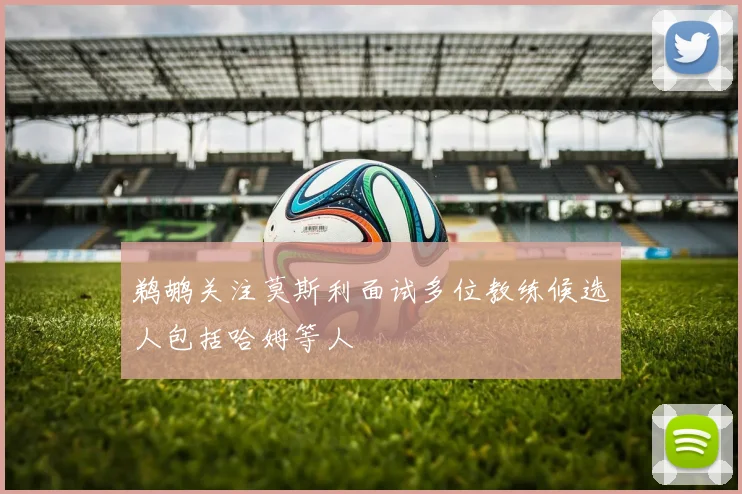 鹈鹕关注莫斯利面试多位教练候选人包括哈姆等人