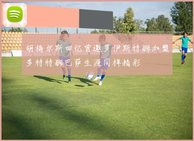 胡梅尔斯回忆曾邀罗伊斯特狮加盟多特特狮巴萨生涯同样精彩