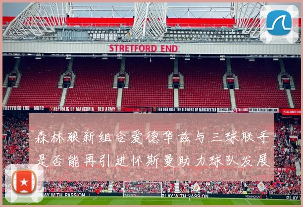 森林狼新组合爱德华兹与三球联手是否能再引进怀斯曼助力球队发展